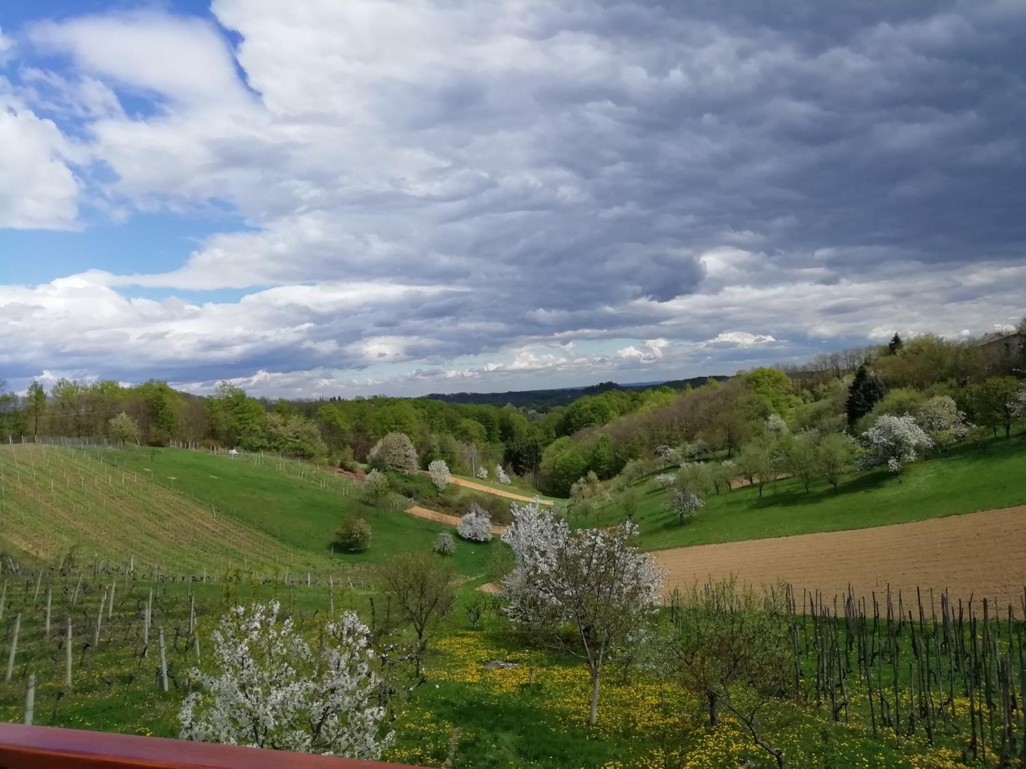 Apartman Ferenac Ozalj Luaran gambar
